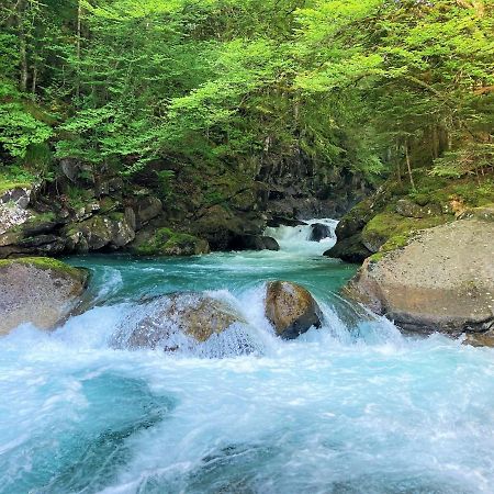 Grand T2 4 Voyageurs Tout Confort Cauterets Buitenkant foto
